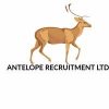 Antelope Recruitment LTD